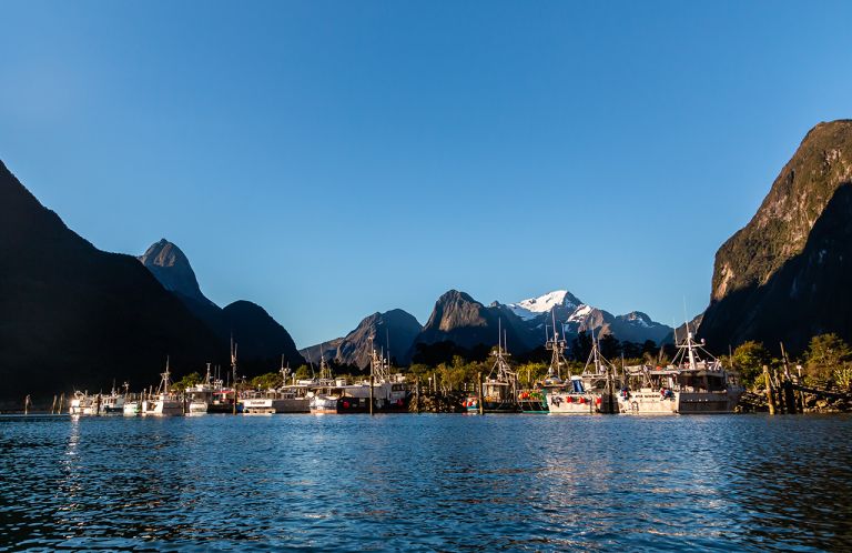 Fishing in Milford Sound