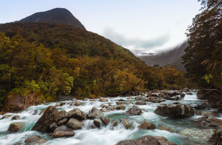 Grave-Bolt-Track - Milford Sound Walk