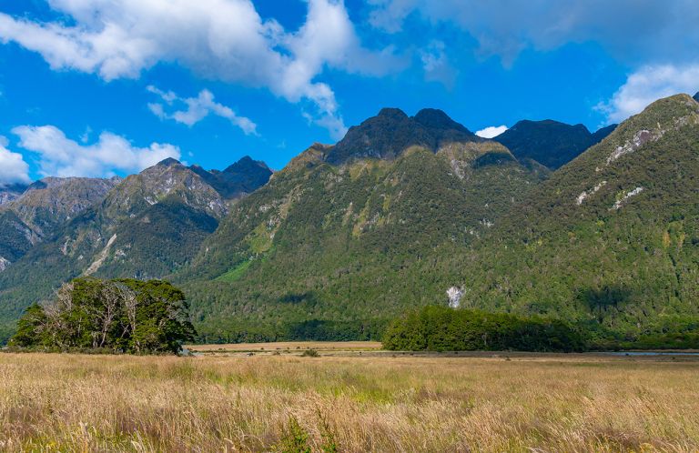 Landscape of Knobs flat at New Zealand