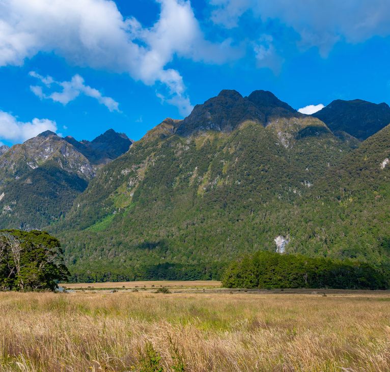 Knobs Flat of Eglinton Valley viewpoint on the Milford Sound highway, Fiordland