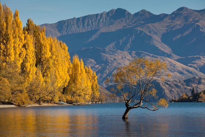 Lake Wanaka Queenstown