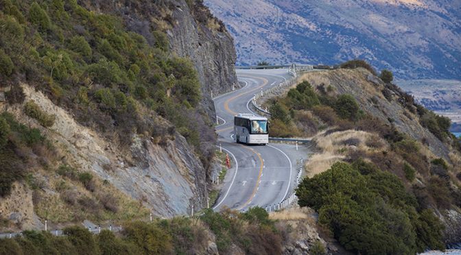 Milford Sound Buses