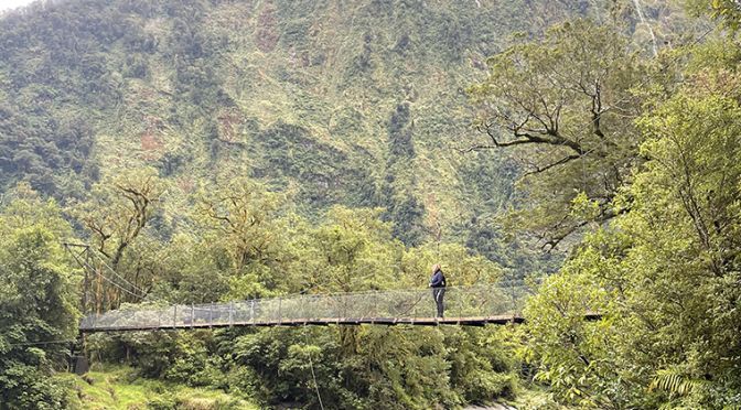 swingbridge on Milford Track