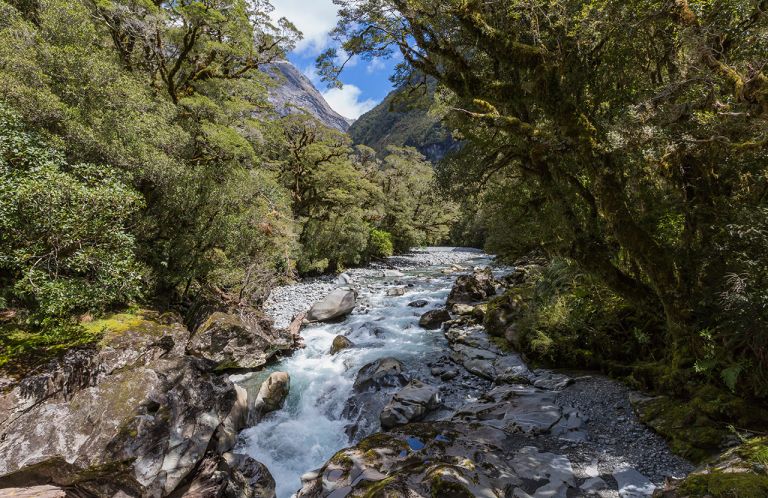 The Chasm (Fiordland, South Island, New Zealand)