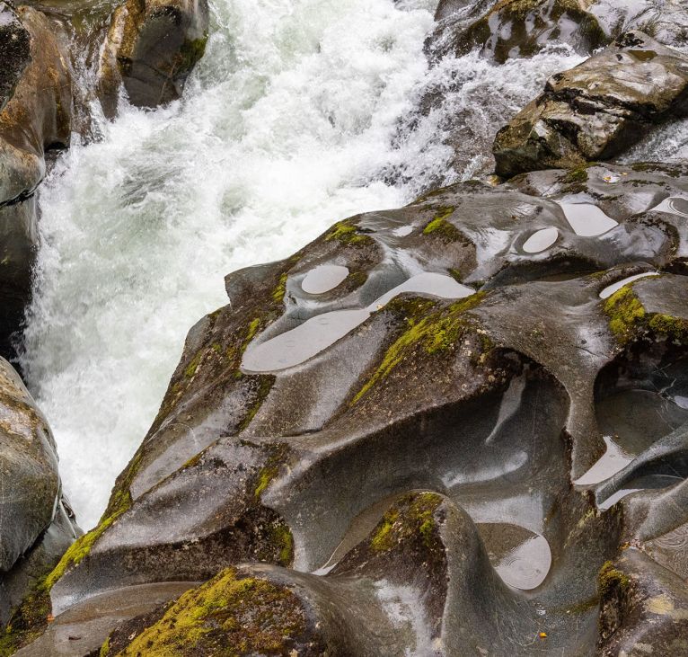 The Chasm Walk - Fiordland National Park