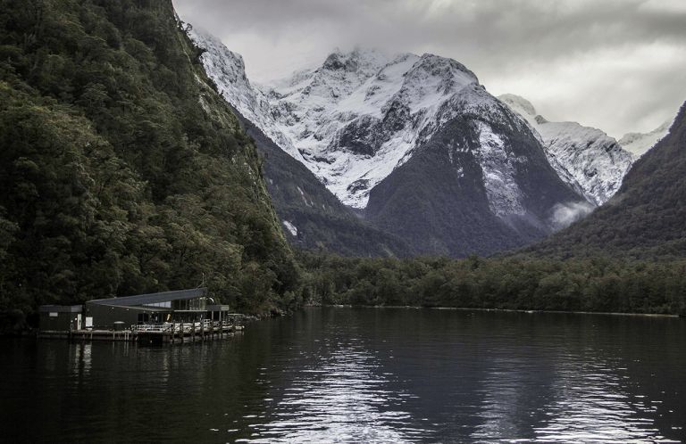 Underwater Observatory, Milford Sound