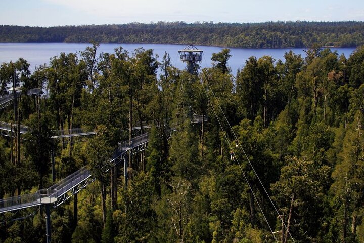 Zipline-Adventure-Park-Greymouth