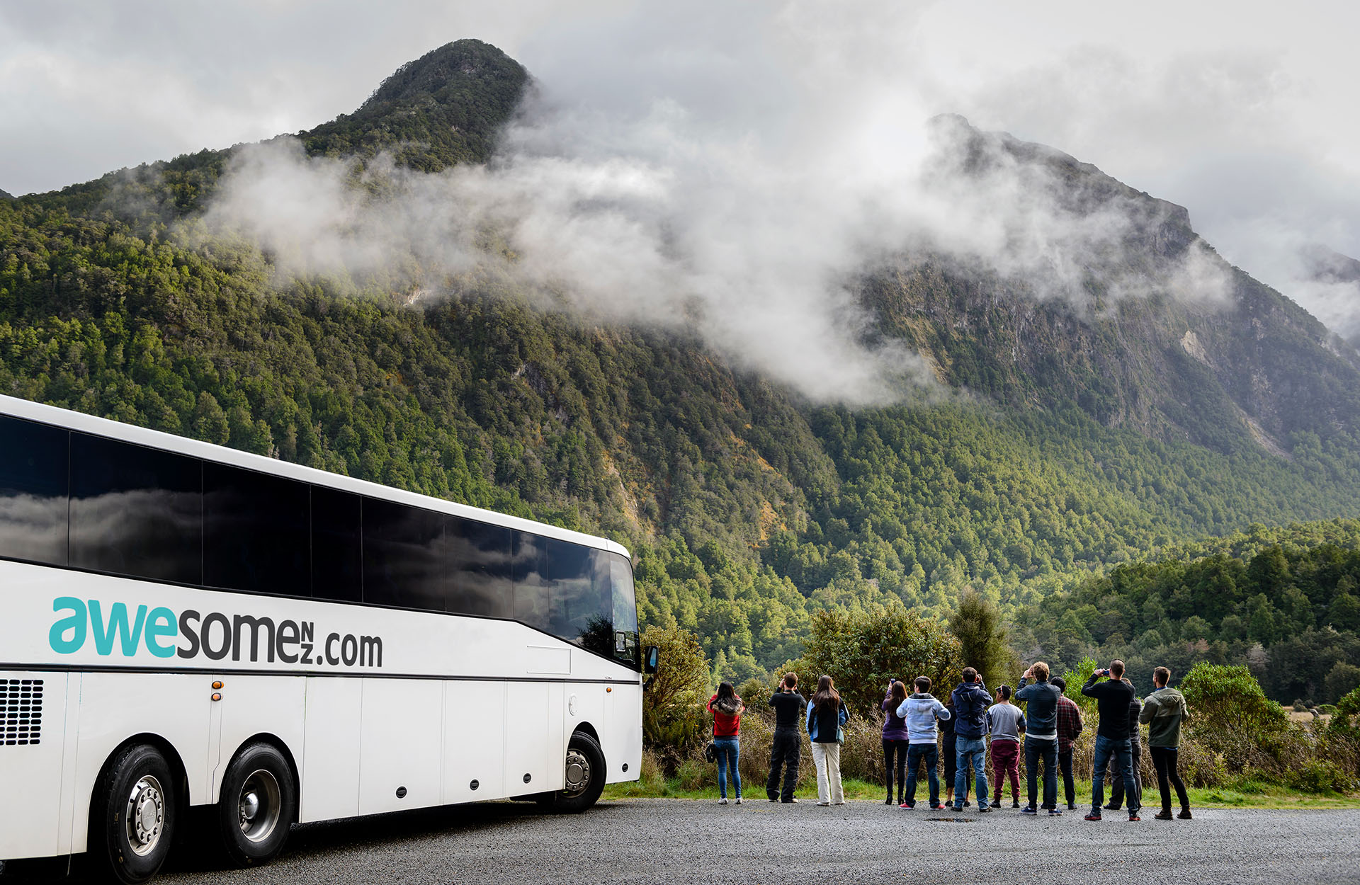 AwesomeNZ Milford Sound tours