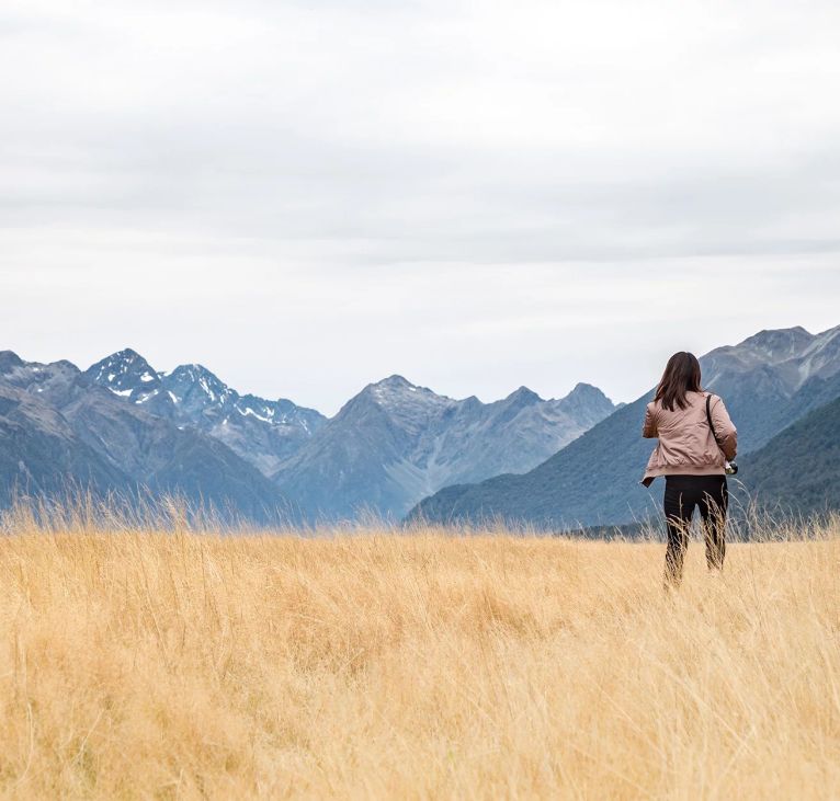 Eglinton Valley - Landscape along Milford Sound highway