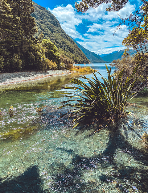 Lake Gunn Nature Walk