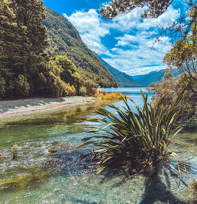 Relax and unwind in Milford Sound Milford Sound Deals - Milford Sound Queenstown