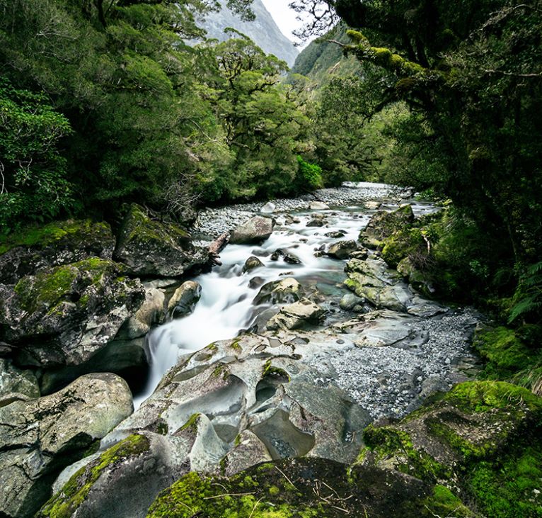 The Chasm in Fiordland National Park, NZ