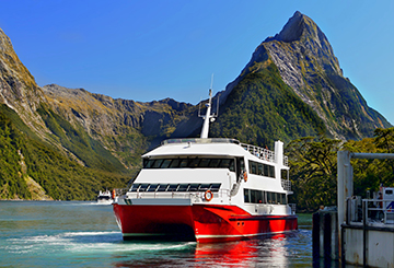 Sourthern Discoveries Milford Sound Cruise